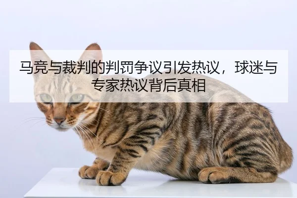 ma-jing-yu-cai-pan-de-pan-fa-zheng-yi-yin-fa-re-yi-qiu-mi-yu-zhuan-jia-re-yi-bei-hou-zhen-xiang-2-984.jpg
